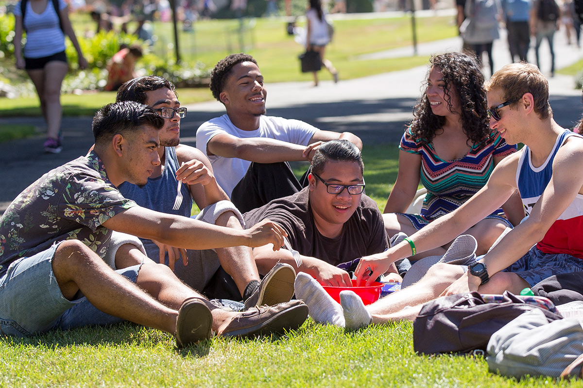 several students sitting outside on grass together